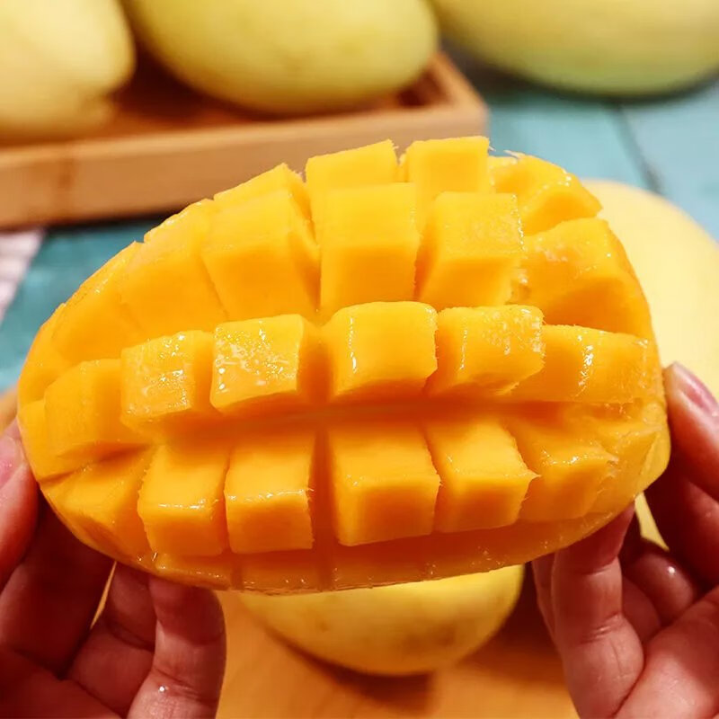 芒果剖面图